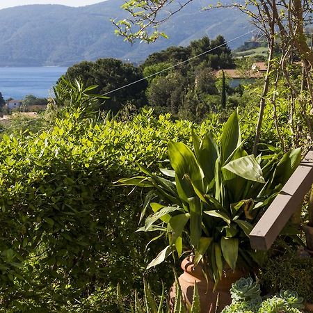 Villa Monserrato - Goelba بورتو أتْسورّو المظهر الخارجي الصورة